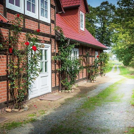 Landhaus Elbeflair Apartment Bei Doemitz Lenzerwische 外观 照片