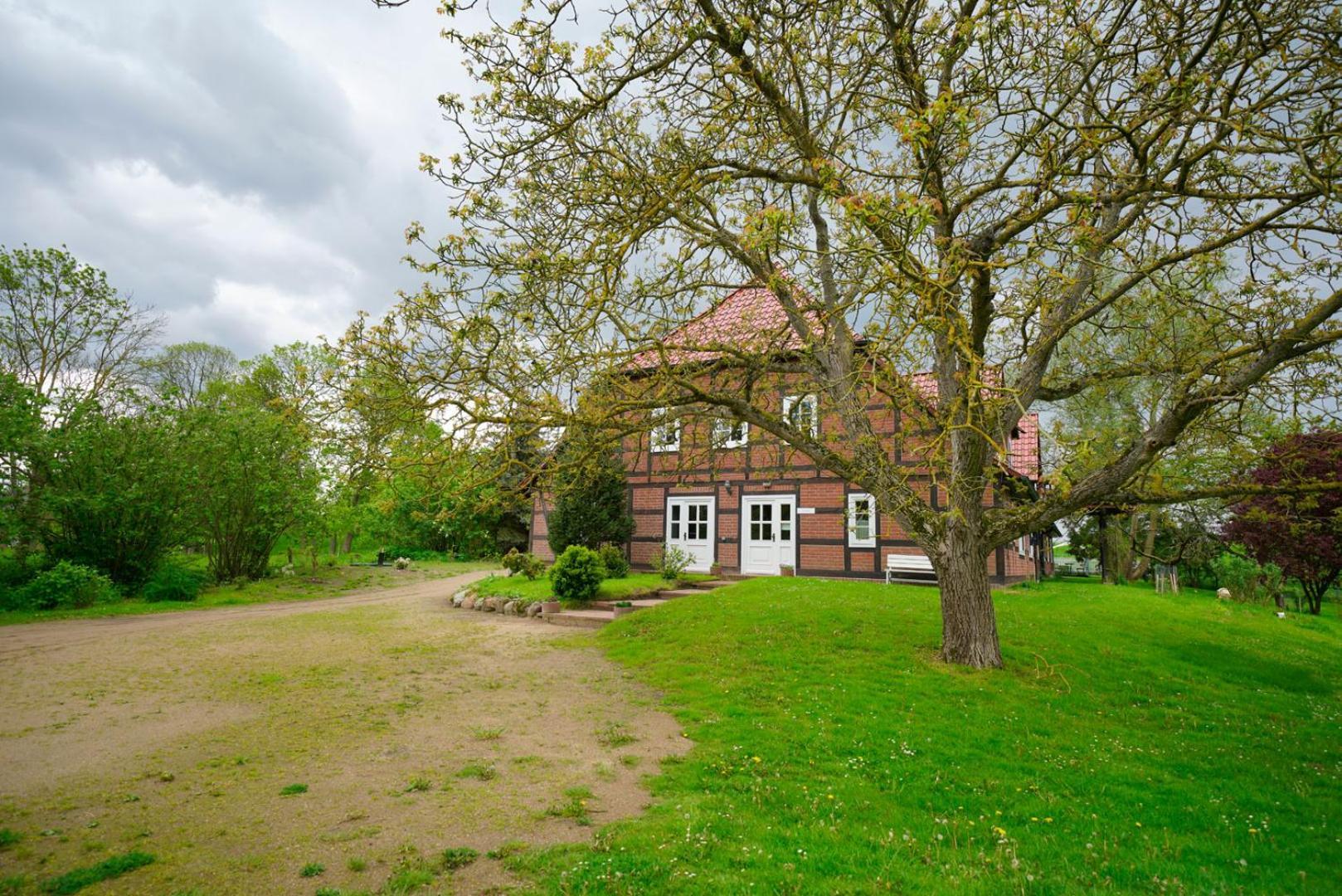 Landhaus Elbeflair Apartment Bei Doemitz Lenzerwische 外观 照片