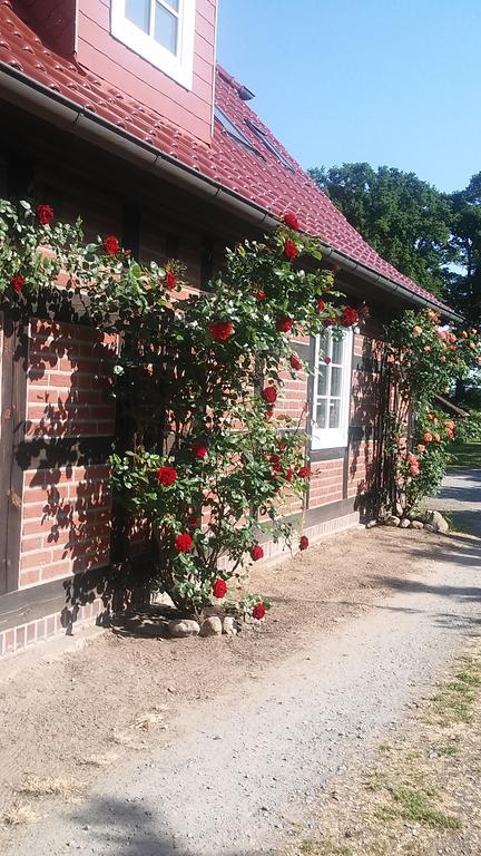 Landhaus Elbeflair Apartment Bei Doemitz Lenzerwische 外观 照片